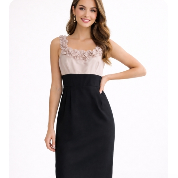 Maggy London |  Sophisticated Black and Beige Cocktail Dress - Picture 8 of 8